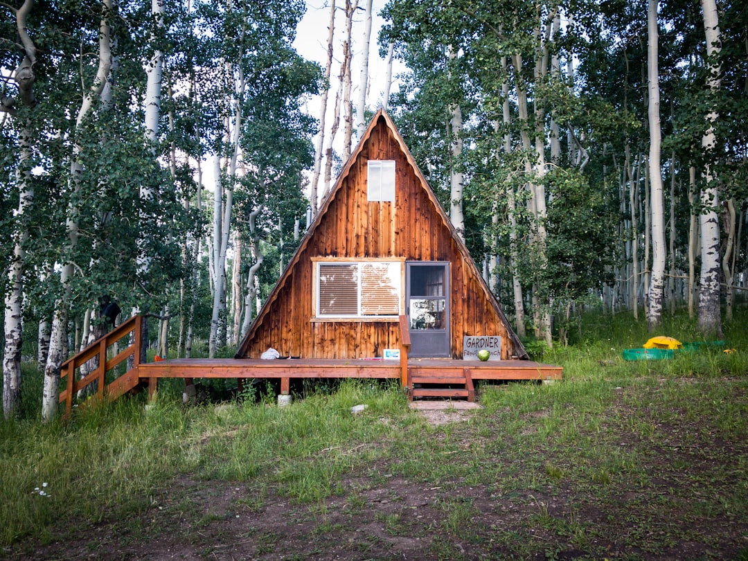 Photo Wooden cabin